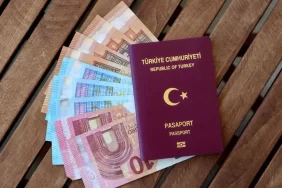pasaport vize