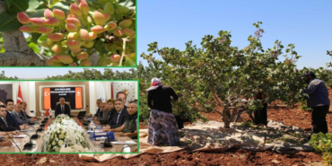 Ekran görüntüsü 2024-01-09 104235