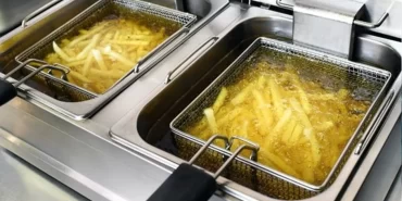 kizartma-yagi-denetim-rsqh_cover