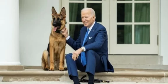 Biden’ın köpeği, gizli servis elemanlarını en az 24 kez ısırdı Biden’ın köpeği, gizli servis elemanlarını en az 24 kez ısırdı