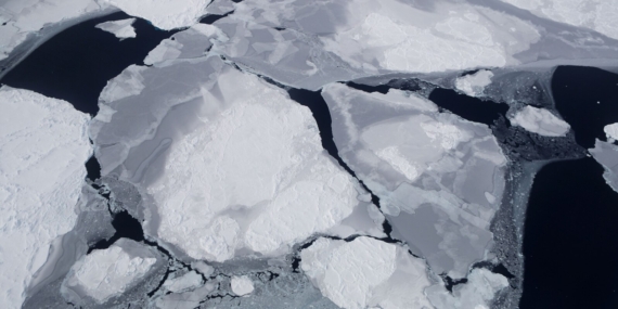 Bilim insanlarından ‘zombi virüs’ uyarısı: Kuzey Kutbu’nda araştırmalar genişletiliyor