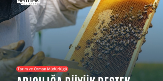 Arıcılığa destek için binlerce kovanın hibe olarak dağıtımı başlıyor!