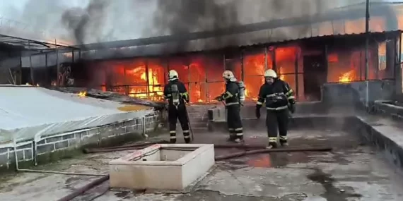 Güvercin otelinde çıkan yangında yüzlerce kuş öldü