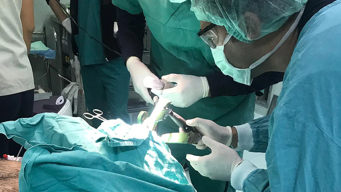 Bir hastanın bağırsaklarında 30 cm uzunluğunda yılan bulundu ve hala canlıydı