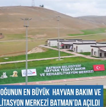 Ekran görüntüsü 2024-03-16 131329