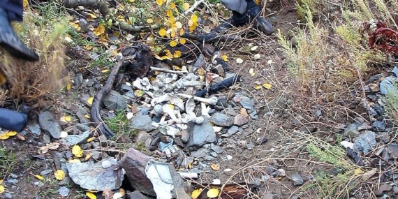 Tanrıkulu’ndan Kulp katliamı davasına zaman aşımı tepkisi: Elbet devran döner, hesap sorulur