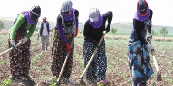 Mevsimlik tarım işçileriyle ilgili önemli düzenleme