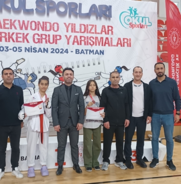 TAEKWONDO 2