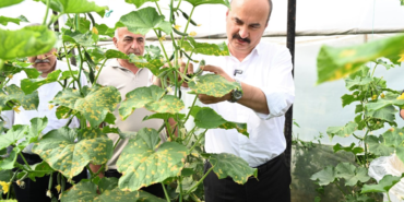 Ekran görüntüsü 2024-05-29 150853