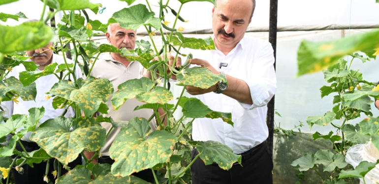 Ekran görüntüsü 2024-05-29 150853