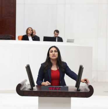 zeynep oduncu dem