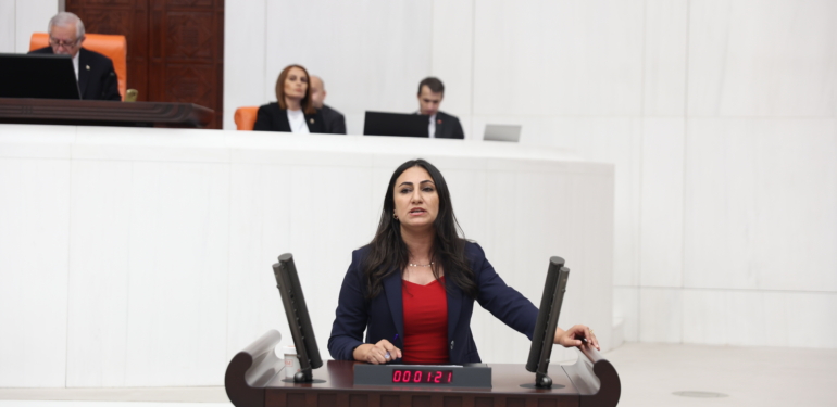 zeynep oduncu dem