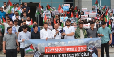 WhatsApp Image 2024-04-30 at 23.48.13