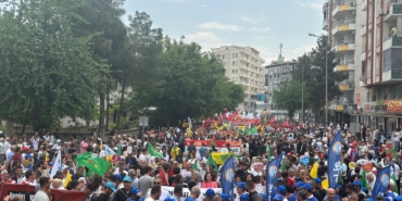 WhatsApp Image 2024-05-01 at 14.50.07