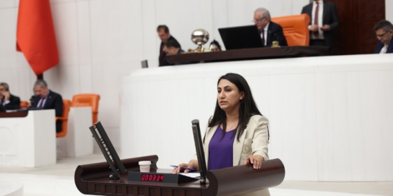 Zeynep Oduncu’dan Kürtçe tabela değişikliğine sert tepki