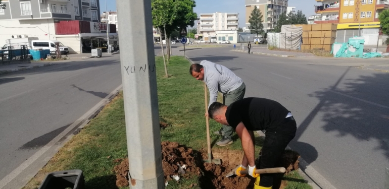 batman-belediyesi-20240531135252-9239