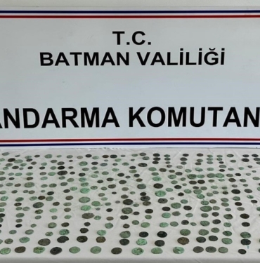 dvcs