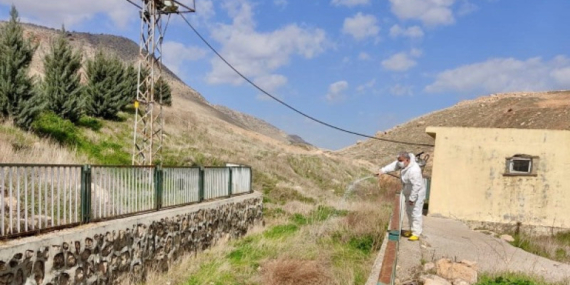 Özel İdareden ilaçlama çalışması