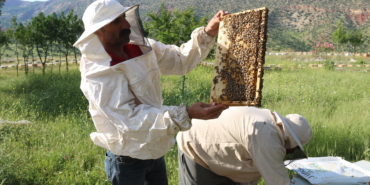 srt-18-05-2024-aricilik-rop3