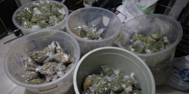 v-25-05-2024-bitkici-rop3