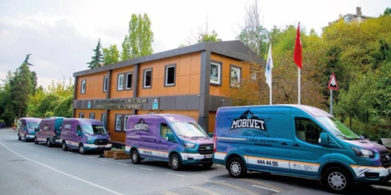 Beşiktaş Belediyesi yangının küle çevirdiği Çınar’a hayvan ambulansı gönderdi