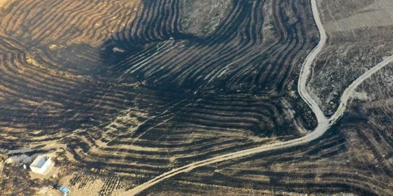 Diyarbakır-Mardin yangını hakkında itfaiye raporu yayınlandı