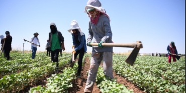 Ekran görüntüsü 2024-06-29 104254