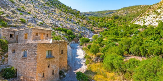 Gercüş’e bağlı Dereli Köyüne yeni ulaşım yolları