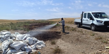 WhatsApp Image 2024-06-06 at 16.12.12