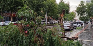 WhatsApp Image 2024-06-10 at 14.51.12