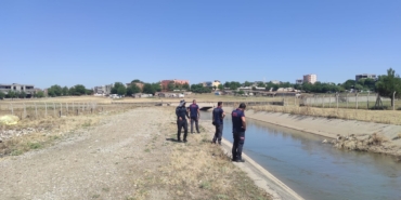 WhatsApp Image 2024-06-11 at 11.52.48