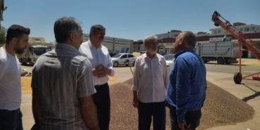 WhatsApp Image 2024-06-12 at 10.32.40 (3)