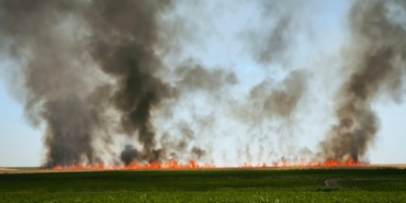 WhatsApp Image 2024-06-22 at 11.16.35