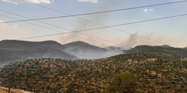 WhatsApp Image 2024-06-23 at 16.31.00