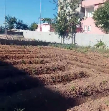 batman-belediyesi-20240610134730-4478