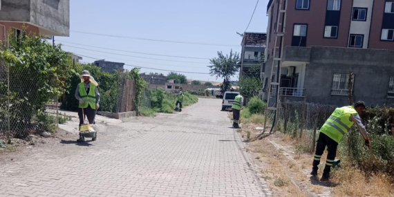 45 mahallenin tamamı temizlendi