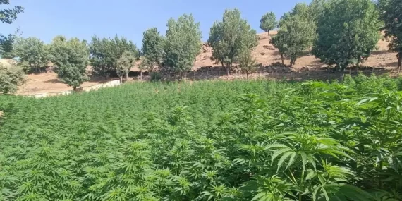 Türkiye’de uyuşturucu kullanımı artıyor mu?