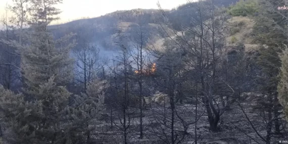 Çeşme’deki orman yangınında üç ölü, dört gözaltı