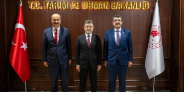 6f21af94-4611-4787-941c-a967054d2b91