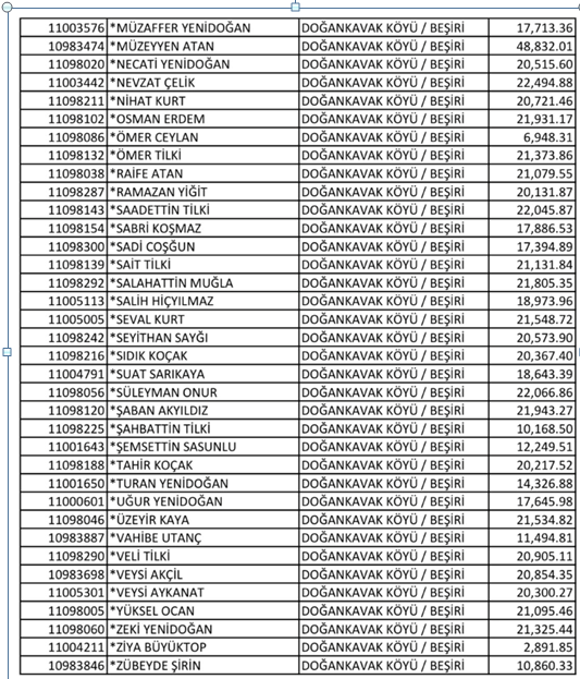 Ekmen: Doğankavak köyüne DEDAŞ tarafından kesilen cezaları gündeme getirdi Ekmen: Doğankavak köyüne DEDAŞ tarafından kesilen cezaları gündeme getirdi