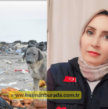 Haritatarla 2018 Genel Seçimlerinin bütün detayları (1)