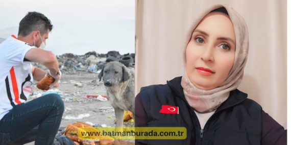 Sokak köpeklerinde ortak çözüm önerisi