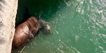 WhatsApp Image 2024-07-11 at 14.30.23