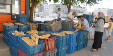 batman-belediyesi-20240719141517-5182