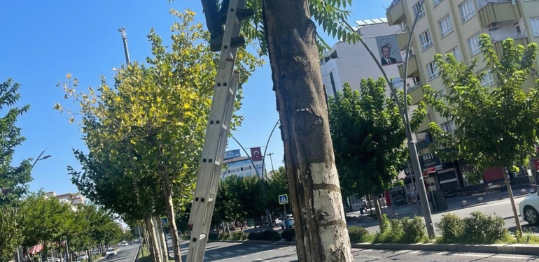 batman-belediyesi-20240726115622-3870