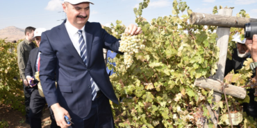 Ekran görüntüsü 2024-08-08 102929