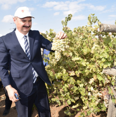 Ekran görüntüsü 2024-08-08 102929