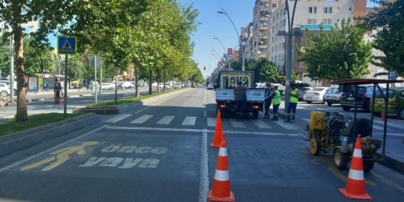 Batman’da 31 noktadaki ‘pêşî peya’ya operasyon!