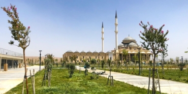 WhatsApp Image 2024-08-26 at 08.08.32