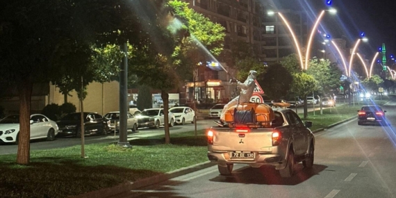 Yaprak bitine önlem ilaçlaması!